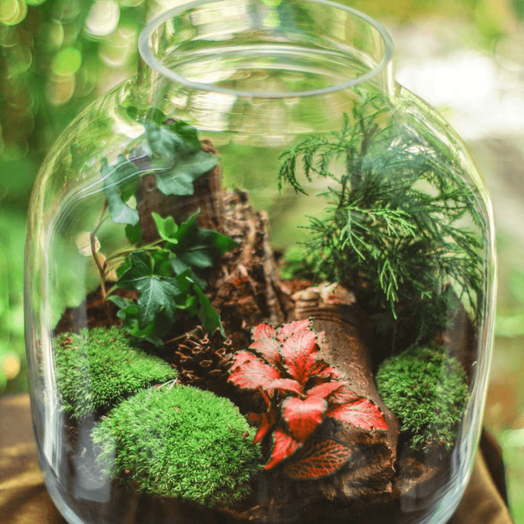 https://de.101facets.com/wp-content/uploads/2025/06/plants-in-jar.png